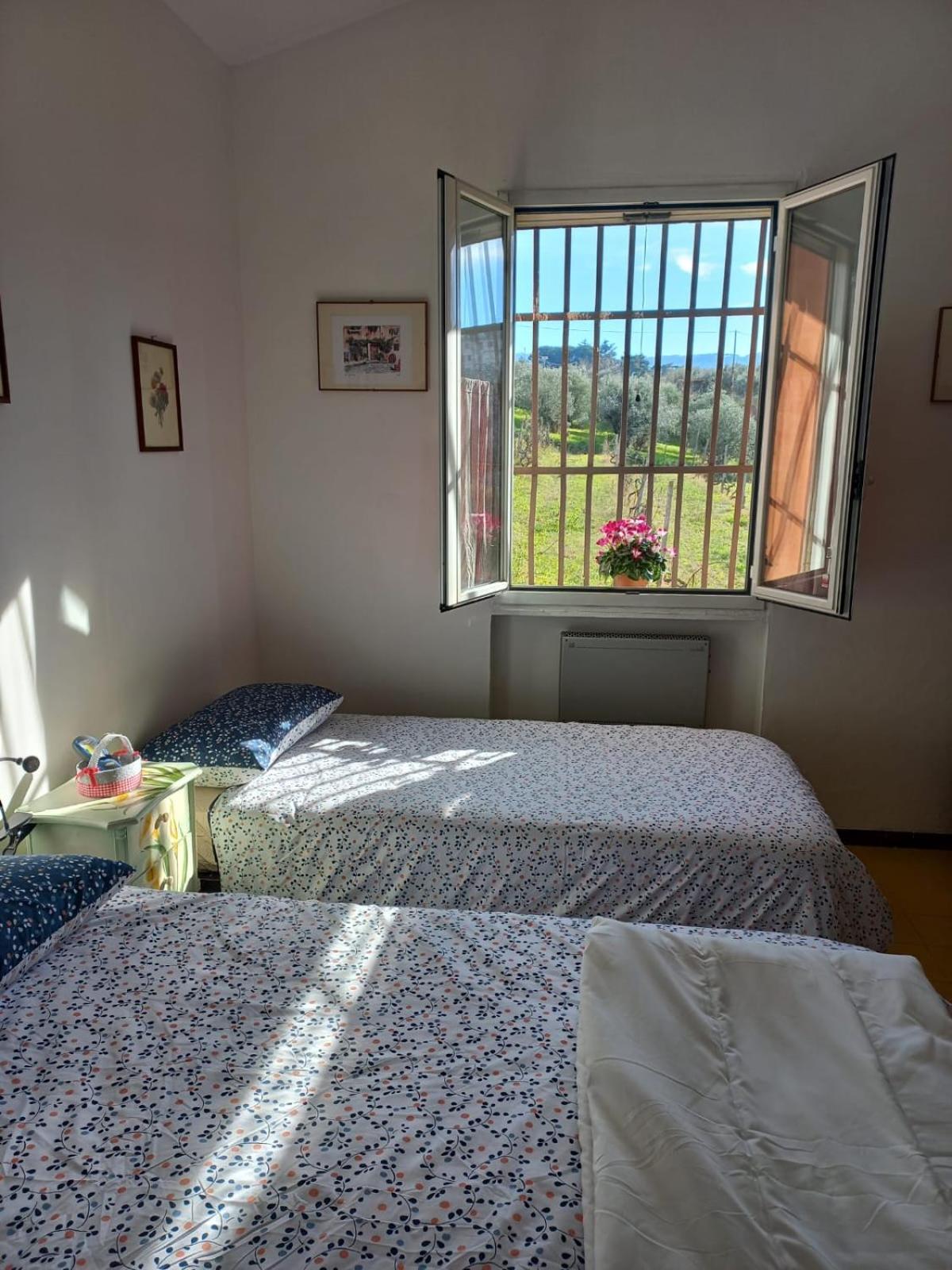 Poggio Agli Ulivi Villa Frascati Room photo